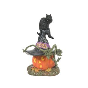 Feline Noir 2025